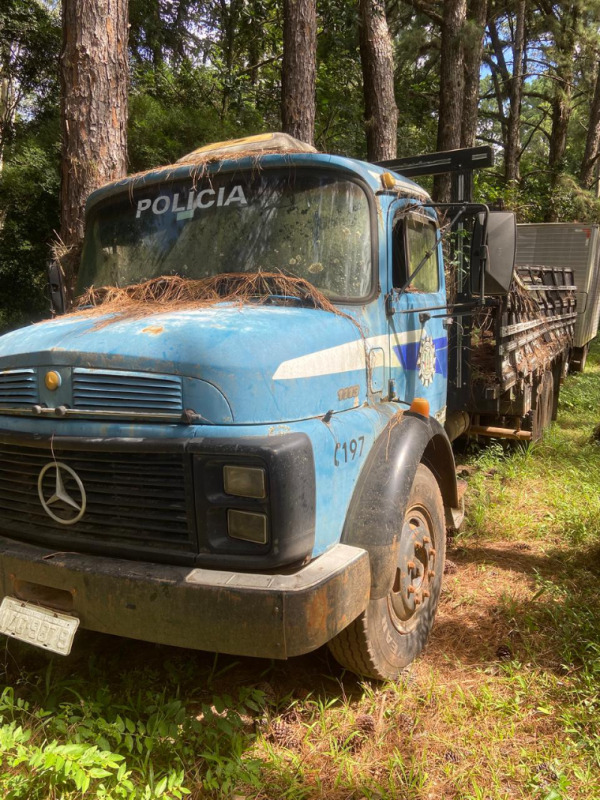 Mercedes-benz/L-1113 L 1113 1981/1981 — M.benz/Caminhão L 1113